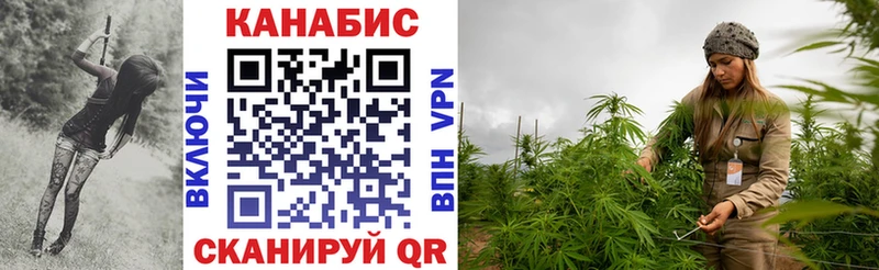 Купить закладки  Гурьевск  Шишки марихуана THC 21% 